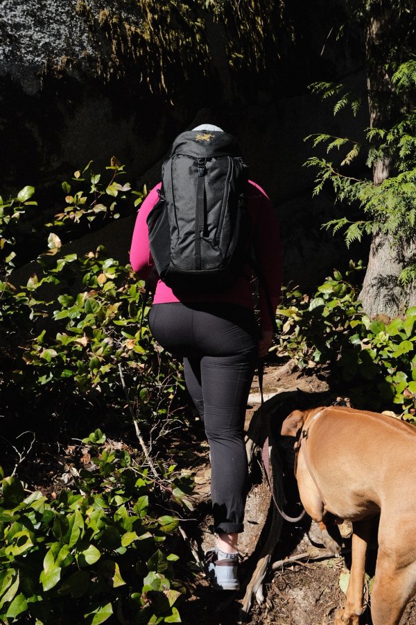 A person with a backpack hikes in a forested area with their dog on a leash.